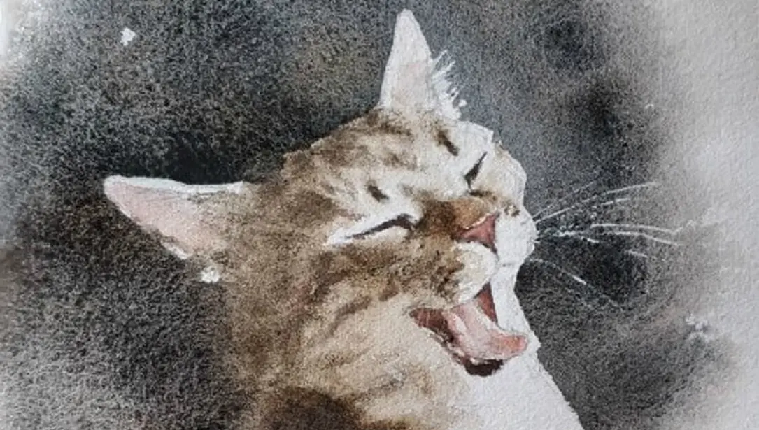 https://danielsmith.com/wp-content/uploads/2021/04/Konstantin-Sterkhov-Cat-Watercolor-Sketch-Step-by-Step-1.jpg.webp
