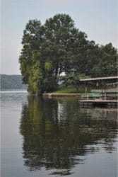 Ispirazione ad acquerello di Robert Cook Oak Point-1