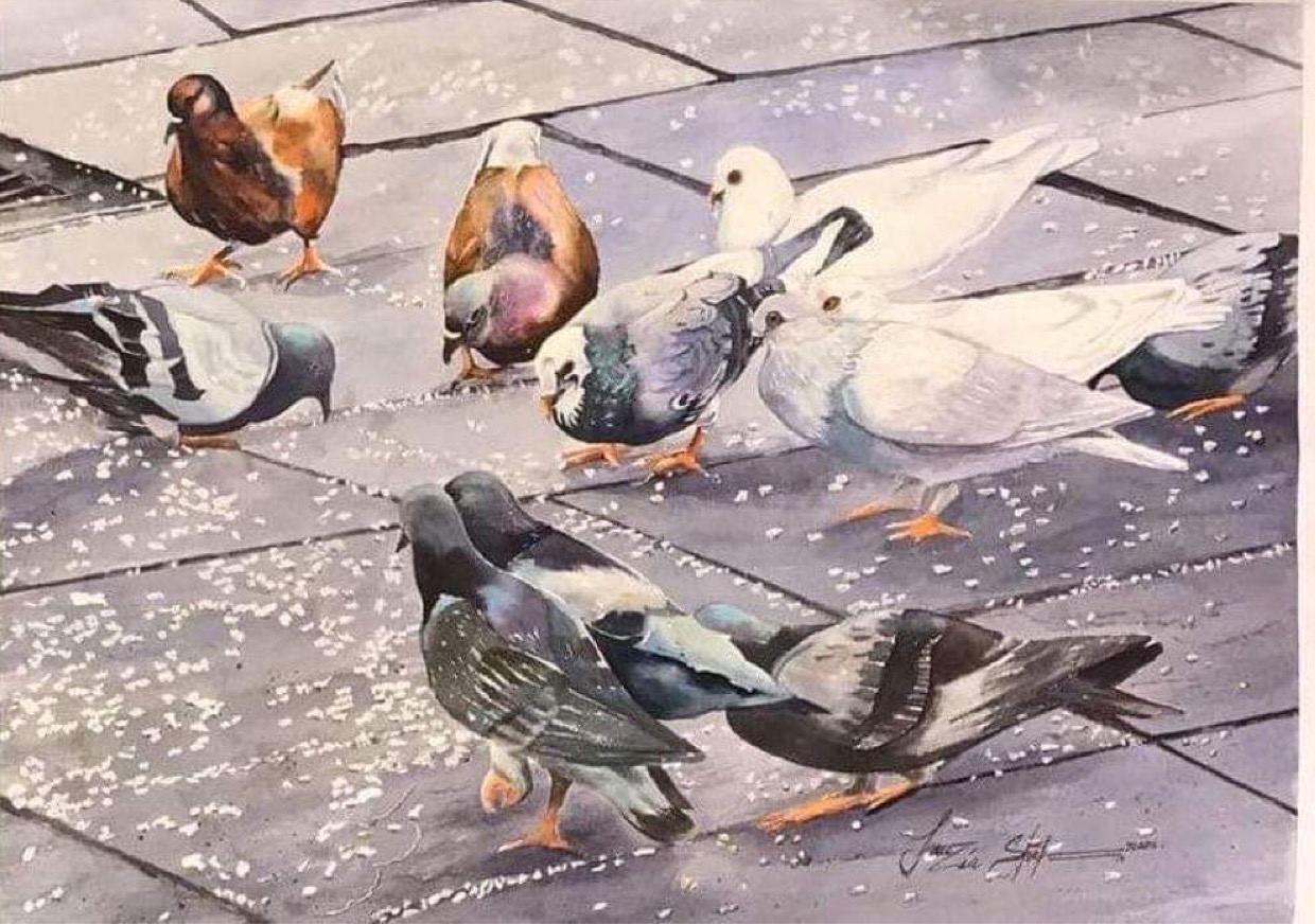 ds-bio-Fauzia Shabnam-birds