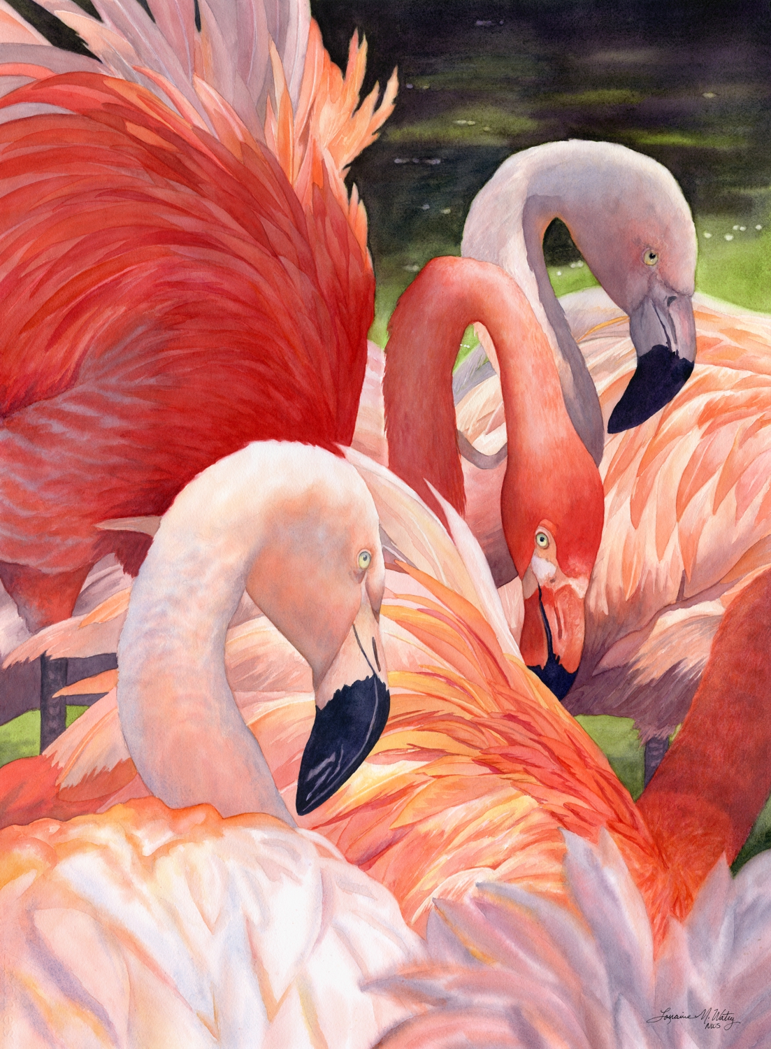 Coral-Chorus-Line-watercolor-by-Lorraine-Watry