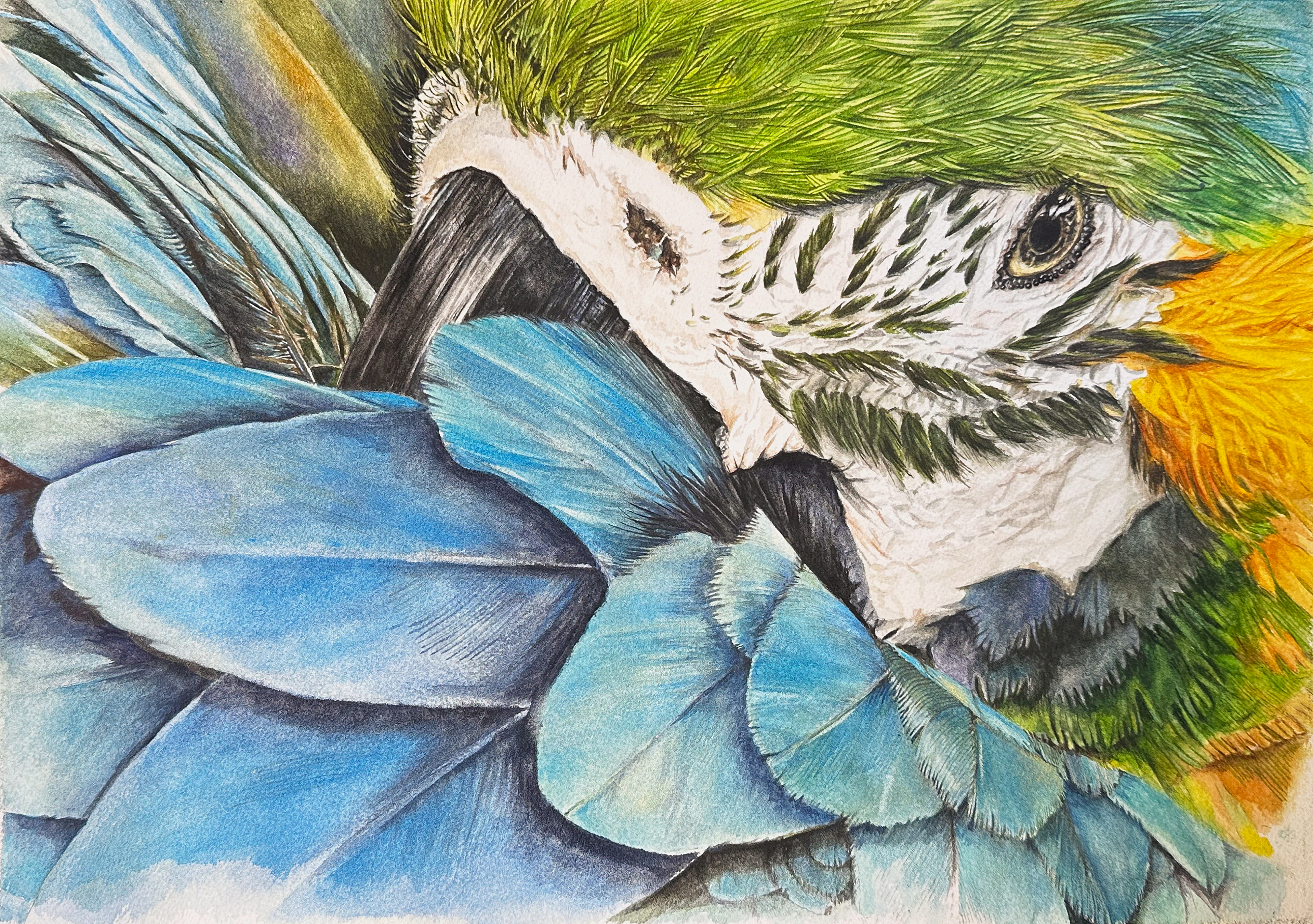 Painting Luminous Feathers with DANIEL SMITH Watercolors-6