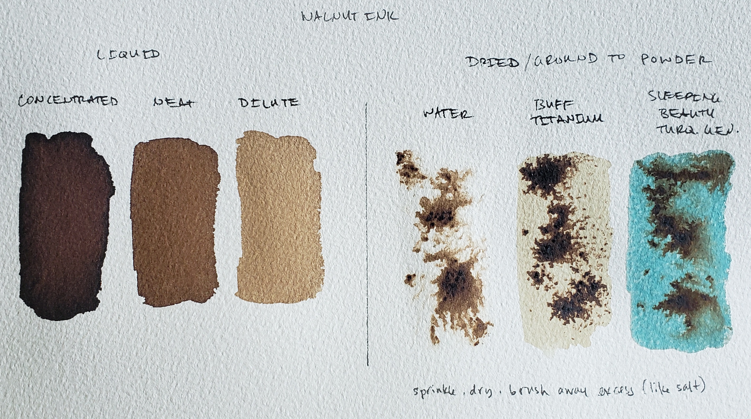 Ways to Use DANIEL SMITH Walnut Ink-6
