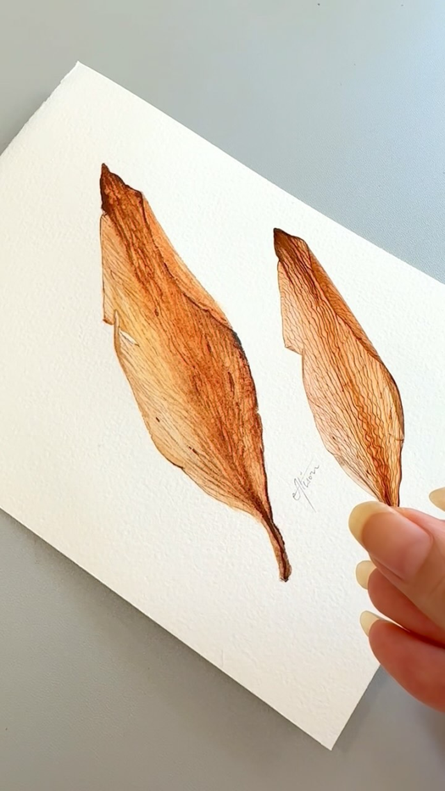 It’s Friday Fun Takeover Post by Brand Ambassador Alison Pinto @alisonpintoartGold Petal Colors used : Quinacridone Deep Gold, Burnt Sienna and Hematite Burnt Scarlet Anyone else find joy in stamped flowers and leaves? I find these tucked in my books like treasures! This dried petal from long ago, with its transparency, and delicacy of veining really inspired me to paint. And when inspiration strikes, the hand just flows. The base is my favourite Quinacridone Deep Gold, such a versatile color! And Hematite Burnt Scarlet added just the right touch of neutralising hues to the piece that I wanted! Friday Fun is about just doing a little sketch and having fun with it. The mindfulness of a little doodling session quiets the mind, while the fact that it’s “just a quick sketch” sets you free from the pressure of results and lets you simply enjoy the process! The exercise might amount to nothing other than relax you, but the fun of playing might just surprise you!!”- Alison Pinto Key to Alison’s process “…I wet the surface with clear water, sometimes randomly, and drop in juicy paint and enjoy watching it burst across the dampened surface. I love working wet-into-wet because that’s when you see the pigments play best.” - Alison Pinto Try it and share your experience with us, # hashtag us :)#danielsmith  #danielsmithartistmaterials #danielsmithwatercolors