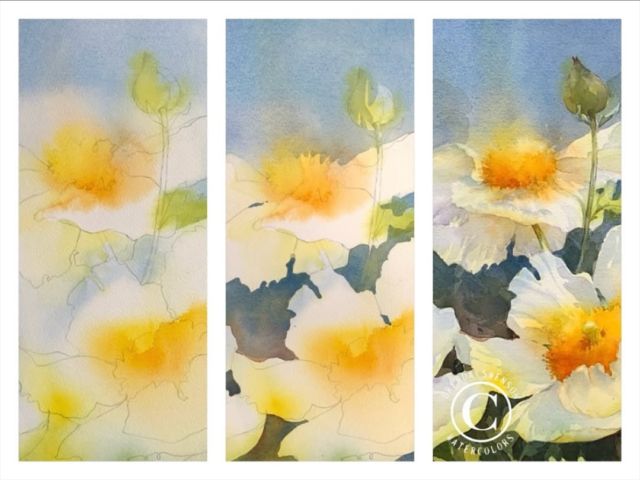 What a beautiful prompt @brenda_swenson ☺️ Thanks for sharing! Repost from @brenda_swenson•A work in progress. Trust the process of “negative painting” 😉#danielsmith #danielsmithartistsmaterials #dsnielsmithwatercolors #negativepainting #transparentwatercolors #watercolours #watercolorteacher #matilijapoppy #watercolourfloral
