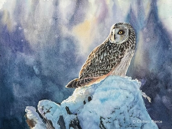 Congratulations 🎉🎉🎉 @chihiroart Repost from @chihiroart•The NWWS catalog has arrived — thank you! 💙 I’m delighted to share that my painting has been accepted into the Northwest Watercolor Society’s 85th Annual International Open Exhibition!https://www.nwws.org/It will be on view at the Yuan Ru Art Gallery in Bellevue, WA, from November 8 to December 1, 2025.https://yuanru.gallery/
Having lived in Redmond for 7 years and often visiting Bellevue, this truly feels like a homecoming. I’m grateful for the chance to share my work in such a familiar and special place.Heartfelt thanks to juror Frank Eber and the NWWS team for making this opportunity possible.作品が 第85回 Northwest Watercolor Society’s International Open Exhibitionに入選しました。2025年11月8日〜12月1日、ワシントン州ベルビュー市の Yuan Ru Art Center にて行われます。シアトル郊外に7年間住み、ベルビューにもよく訪れていたので、とても懐かしく大好きな街で作品を発表できることを心から嬉しく思います。審査員、そしてNWWSの運営の皆さまに心より感謝いたします。#watercolor #nwws #northwestwatercolorsociety #seattle #bellevue #watercolourpainting #danielsmithartistmaterials  #水彩画 #ベルビュー #海外展示会#danielsmith #danielsmithwatercolors